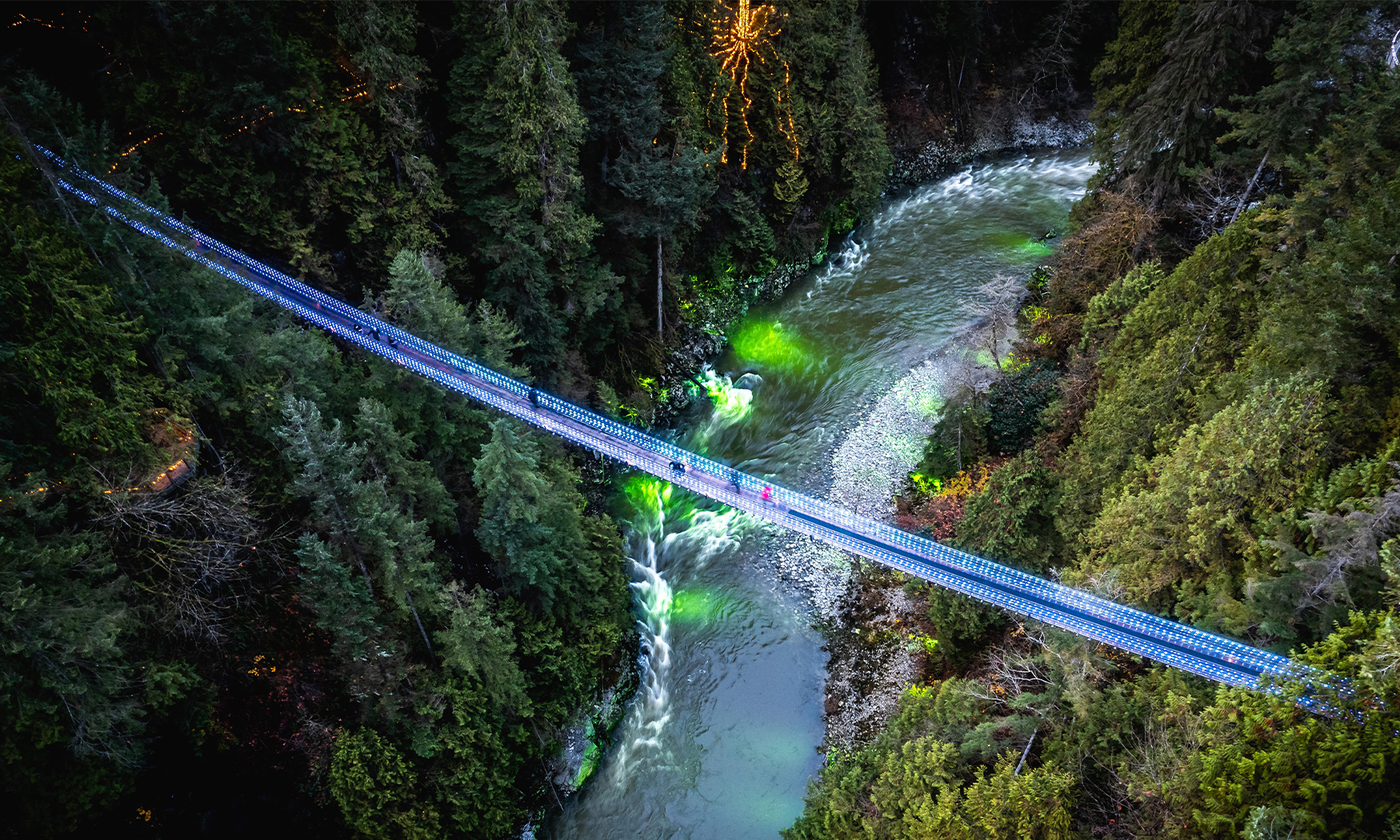 Canyon Lights Taylor's Version | Capilano Suspension Bridge Park