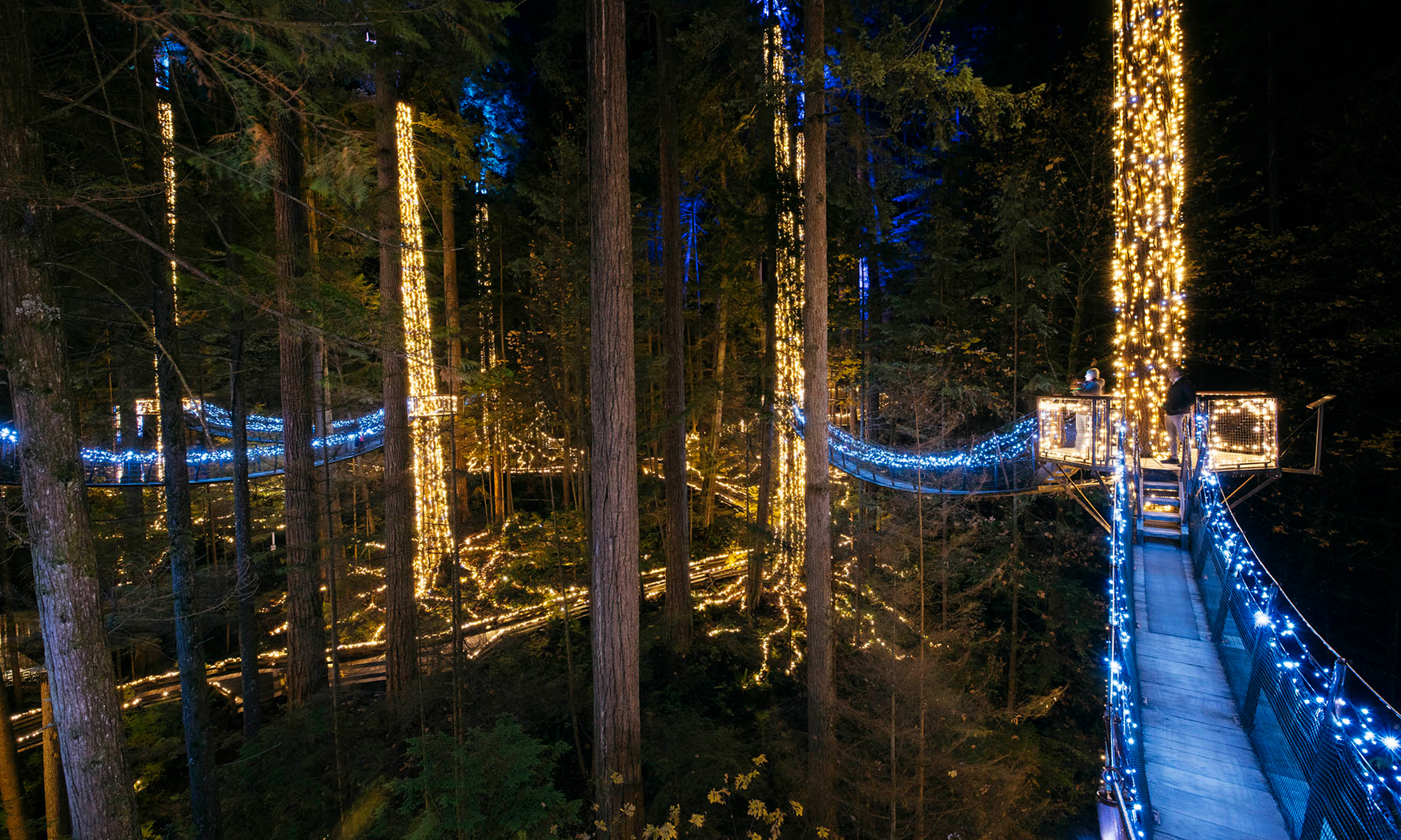 Canyon Lights Capilano Suspension Bridge Park