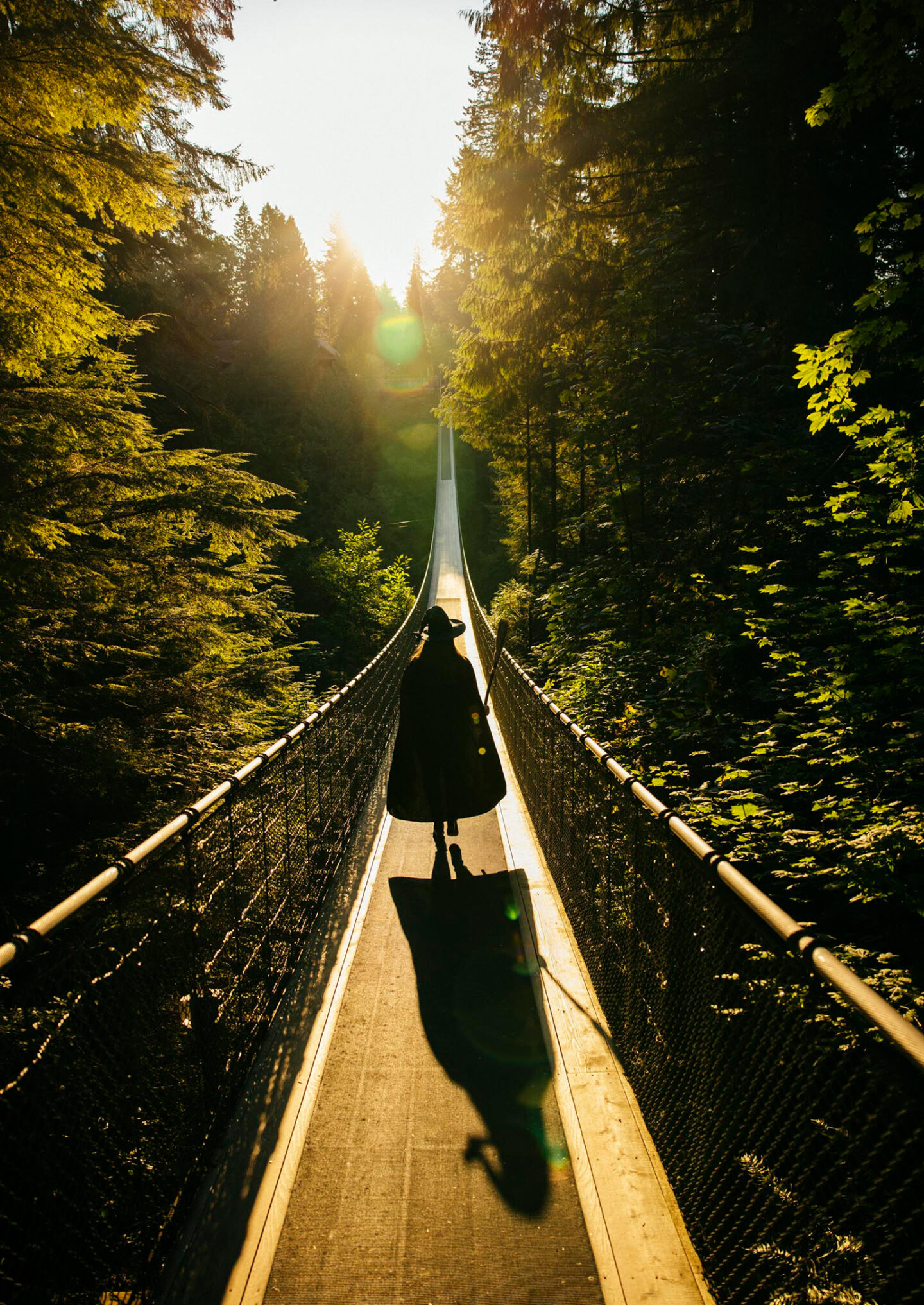 Canyon Frights | Capilano Suspension Bridge Park