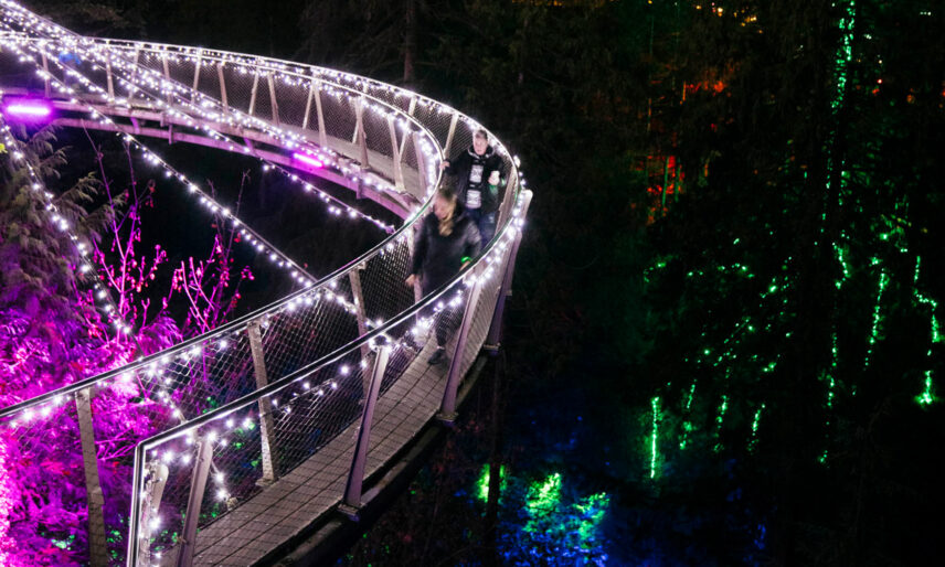 Love Lights Capilano Suspension Bridge Park