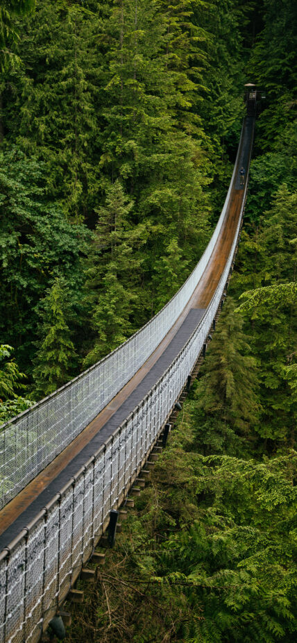 the iconic Capilano Suspension Bridge, suspended high above the lush greenery of the rainforest below