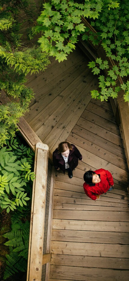 An aerial view captures a couple walking along Nature's Edge Boardwalk, surrounded by the lush forest canopy, as they immerse themselves in the tranquil beauty of nature.