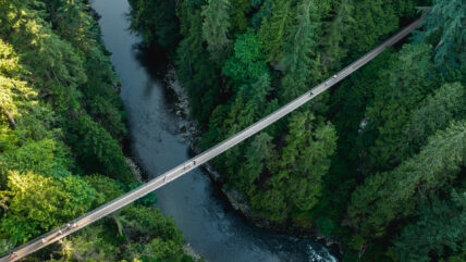 The Capilano Suspension Bridge stretches across the forested canyon with the river below.