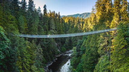 the capilano suspension bridge stretches across the canyon on a sunny day