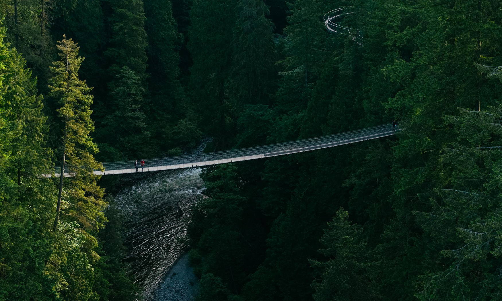 The Suspension Bridge Capilano Suspension Bridge Park