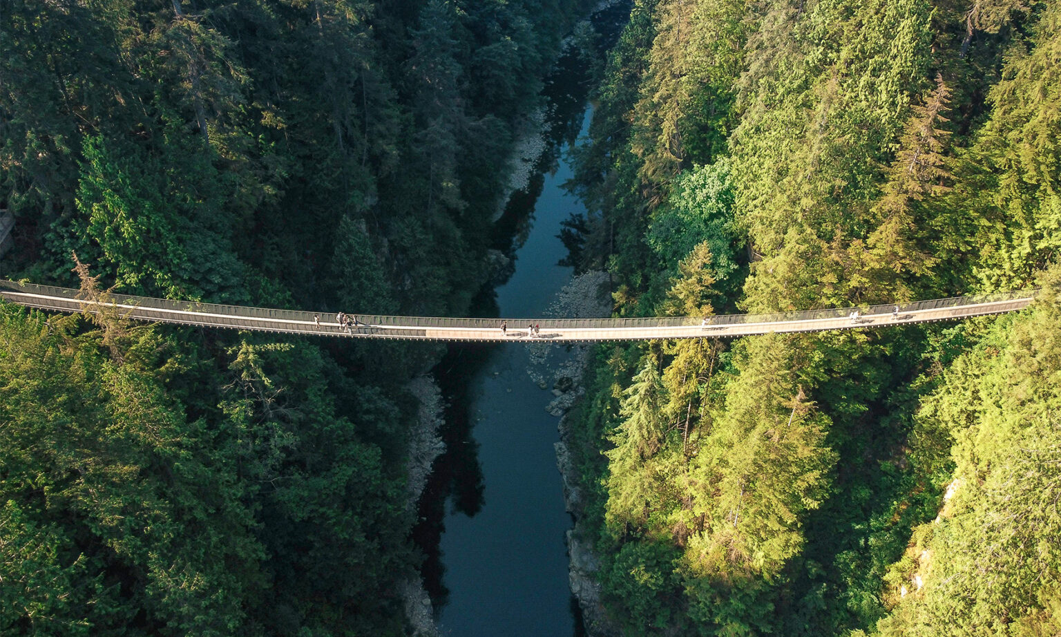 The Suspension Bridge Capilano Suspension Bridge Park