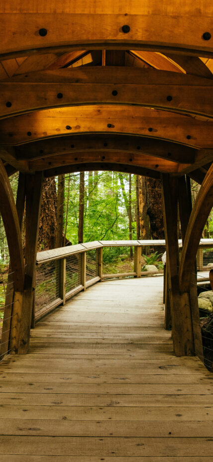 A stunning handcrafted wood entranceway welcomes visitors into the rainforest of the park, embodying the natural beauty and craftsmanship that await at Capilano Suspension Bridge Park