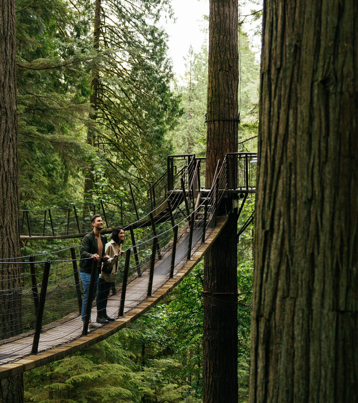 Treetops Adventure | Capilano Suspension Bridge Park