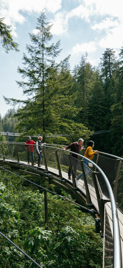 During Park Hours, a wide shot captures guests admiring the breathtaking view from Cliffwalk against a backdrop of blue skies and green rainforest showcasing the thrilling adventure and scenic beauty of Capilano Suspension Bridge Park.