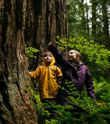 Two kids stand in the rainforest, pointing and looking up at a large beetle display with fascination, immersed in the captivating Living Forest exhibits at Capilano Suspension Bridge Park.