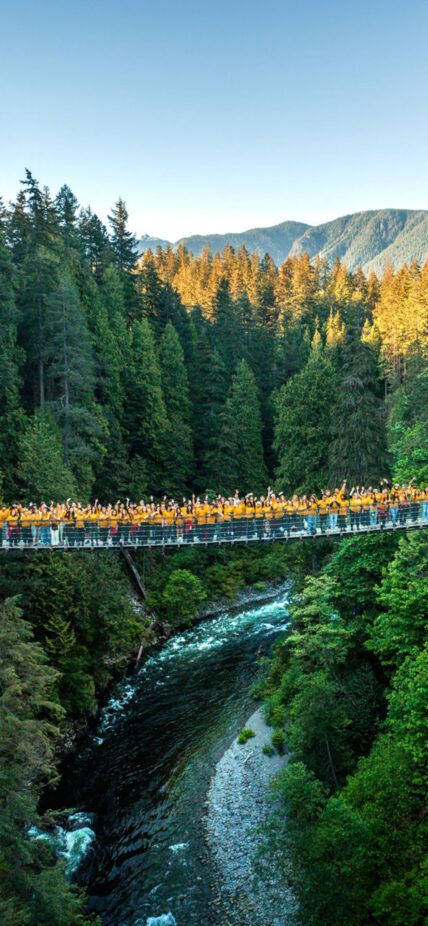 Image of the Capilano Suspension Bridge on a sunny day, with the entire team wearing bright yellow shirts spread across the bridge, surrounded by lush green forest