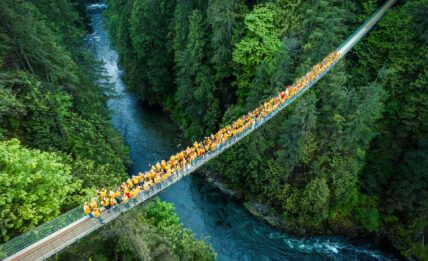 Aerial Image of the Capilano Suspension Bridge on a sunny day, with the entire team wearing bright yellow shirts spread across the bridge, surrounded by lush green forest