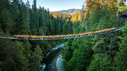 Image of the Capilano Suspension Bridge on a sunny day, with the entire team wearing bright yellow shirts spread across the bridge, surrounded by lush green forest