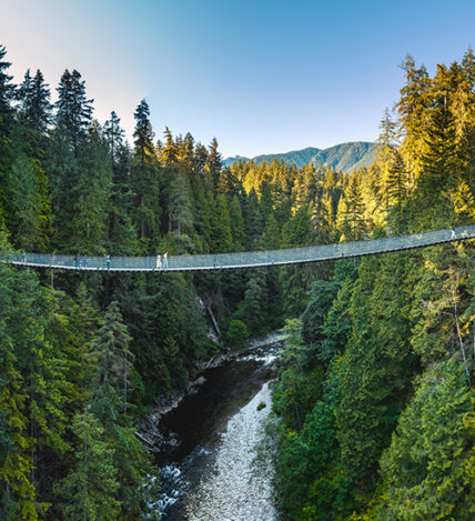 the capilano suspension bridge stretches across the canyon on a sunny day