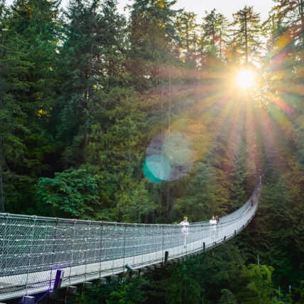 Capilano Suspension Bridge stretches across the canyon into the forest with the sunsetting into the treeline